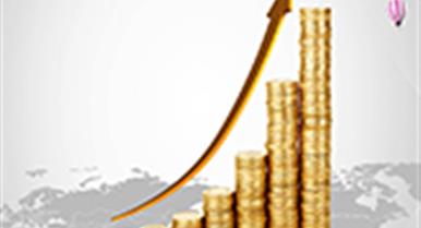 2020���������������Ͷ����ܽ�